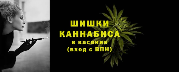гидра Киренск