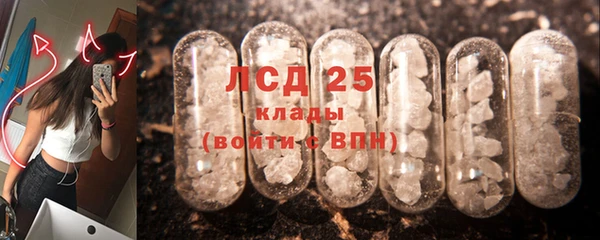 гидра Киренск