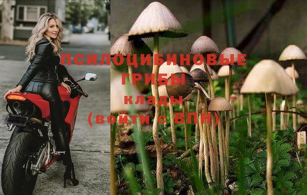 гидра Киренск