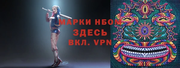 гидра Киренск