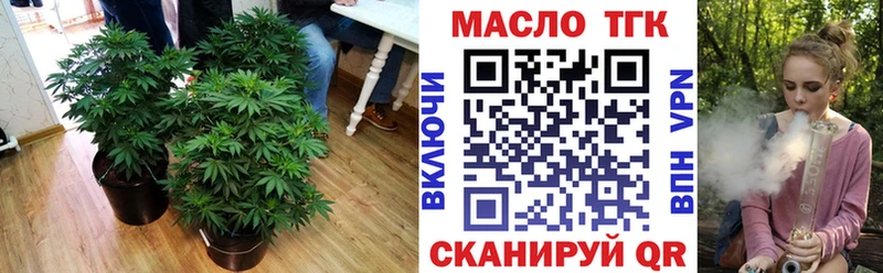 Купить закладки  Бугульма  Дистиллят ТГК Wax 