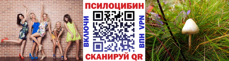 Купить где  Бугульма  Галлюциногенные грибы мухоморы 